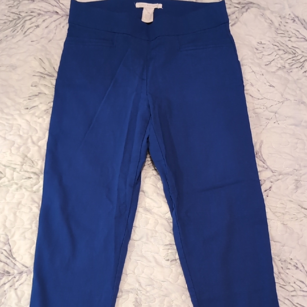 Vibrant Blue Cropped Pants with Elastic Waistband